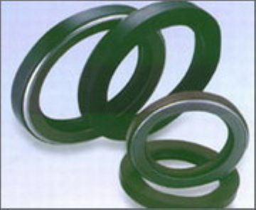 Oil Seal